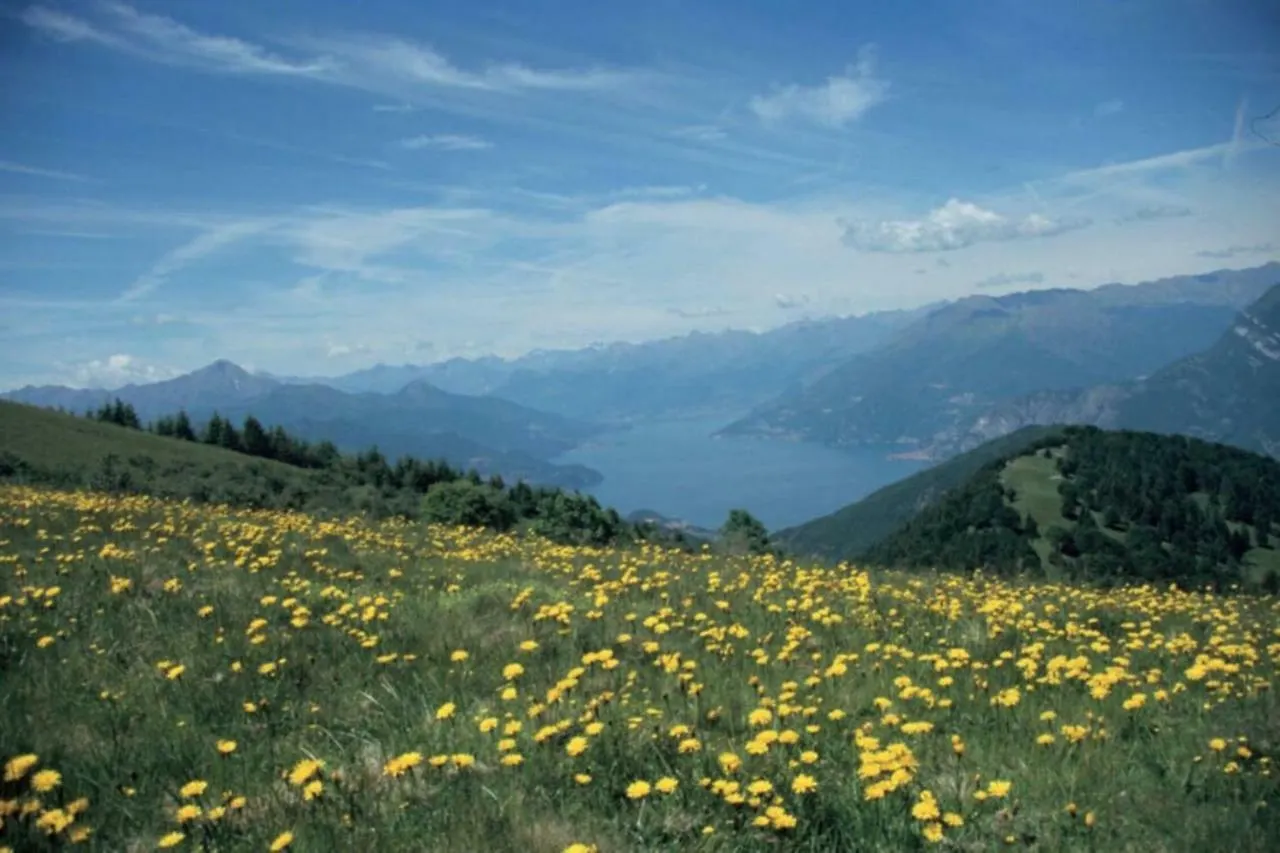 Apartment Appartamento Ghisallo Magreglio Italy